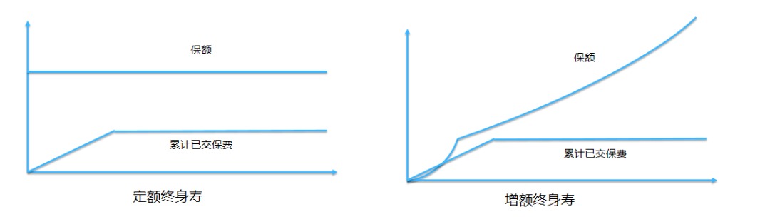 同樣的保障為什么我買的壽險貴了10倍？