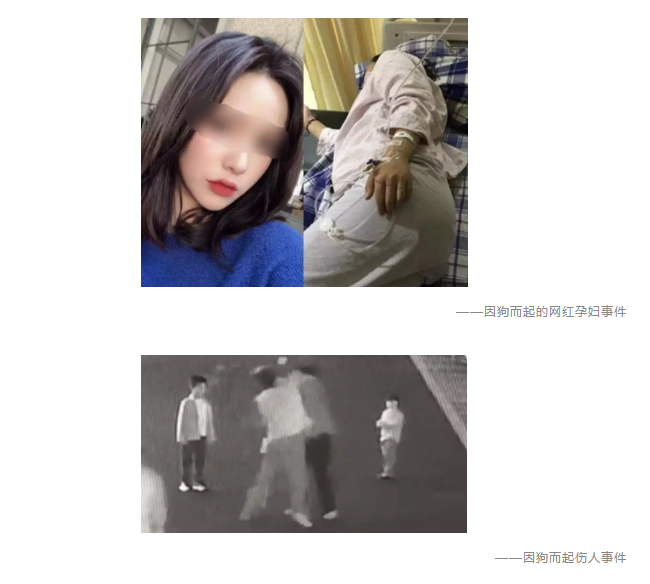 為什么不買(mǎi)保險(xiǎn)就不讓養(yǎng)狗？