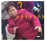 為什么不買(mǎi)保險(xiǎn)就不讓養(yǎng)狗？