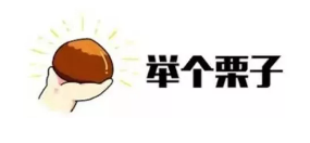 什么是年金轉(zhuǎn)換？