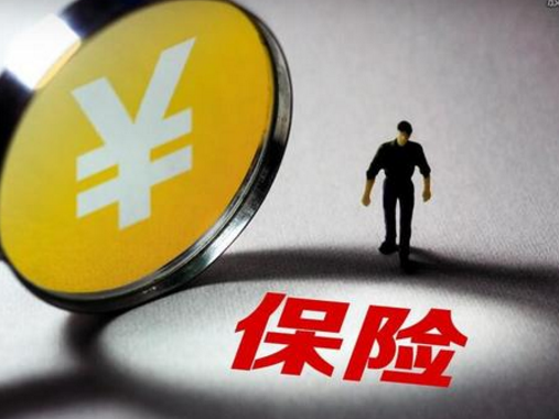 保單失效后怎么辦？需要準備哪些材料