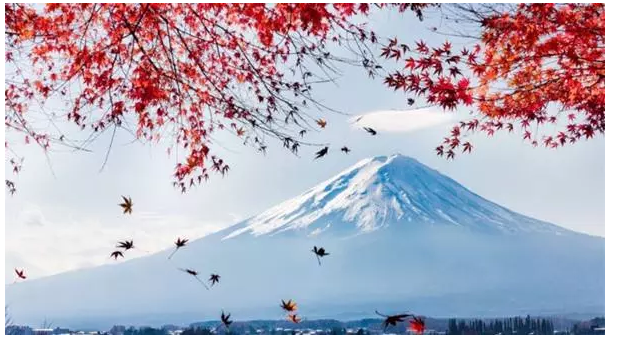 尊享e生值不值得購買？