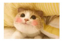 到底什么是保單貼現(xiàn)？