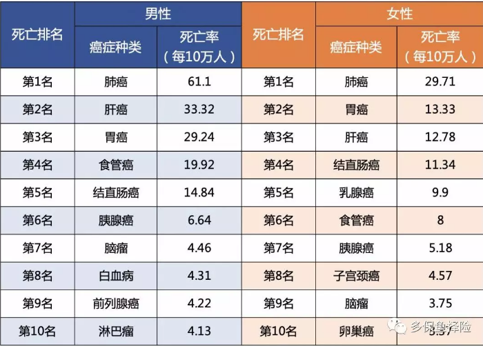 女性高發(fā)重疾怎么選？